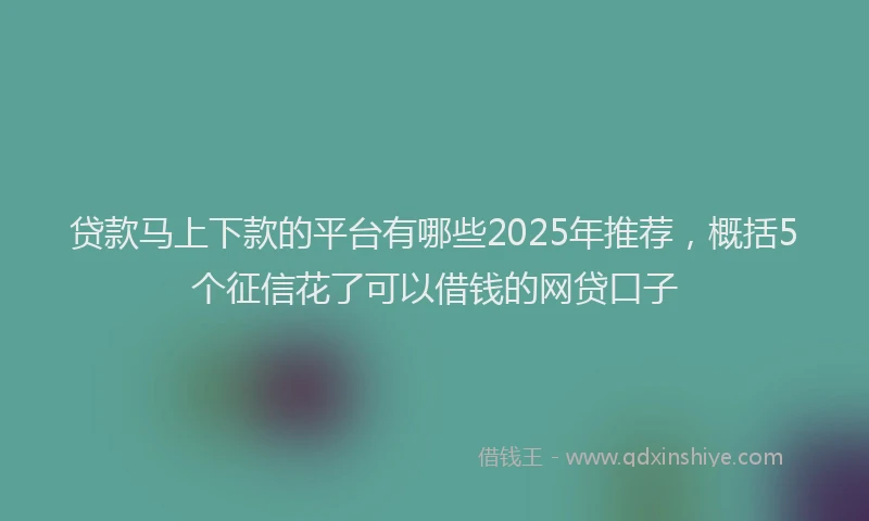 贷款马上下款的平台有哪些2025年推荐，概括5个征信花了可以借钱的网贷口子