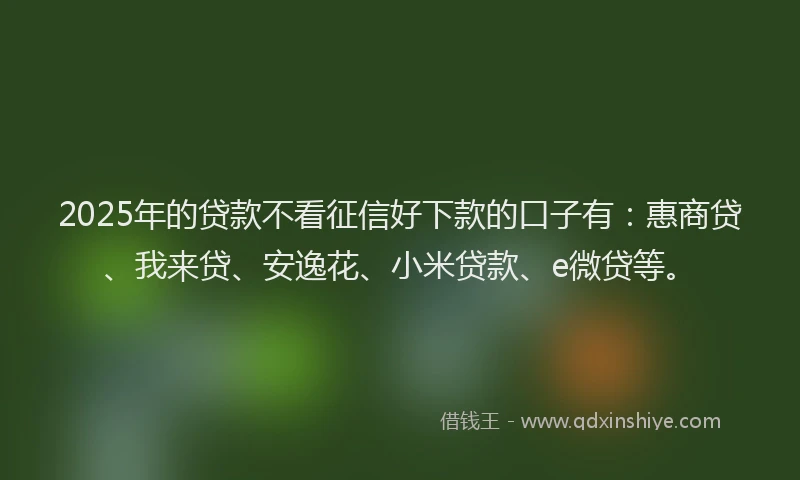 2025年的贷款不看征信好下款的口子有：惠商贷、我来贷、安逸花、小米贷款、e微贷等。