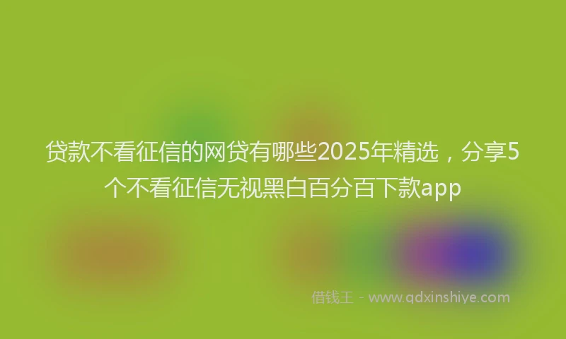 贷款不看征信的网贷有哪些2025年精选，分享5个不看征信无视黑白百分百下款app
