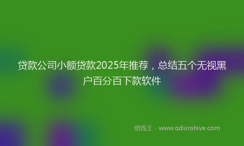 贷款公司小额贷款2025年推荐，总结五个无视黑户百分百下款软件