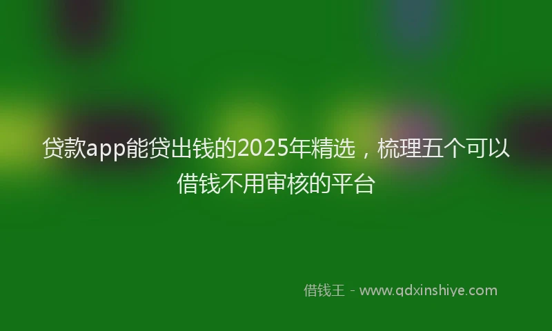 贷款app能贷出钱的2025年精选，梳理五个可以借钱不用审核的平台