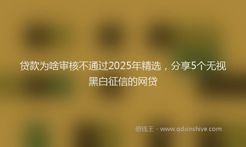 贷款为啥审核不通过2025年精选，分享5个无视黑白征信的网贷