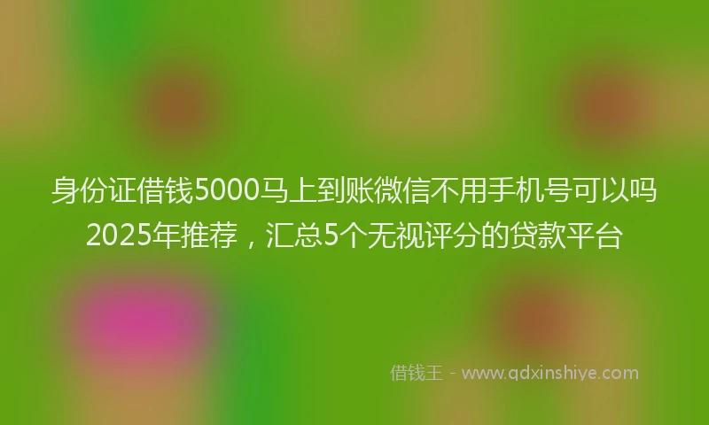 身份证借钱5000马上到账微信不用手机号可以吗2025年推荐，汇总5个无视评分的贷款平台