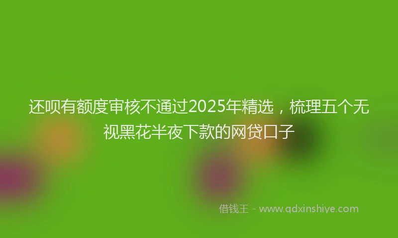 还呗有额度审核不通过2025年精选，梳理五个无视黑花半夜下款的网贷口子
