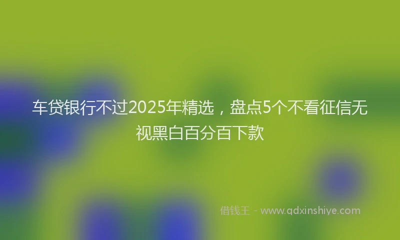 车贷银行不过2025年精选，盘点5个不看征信无视黑白百分百下款
