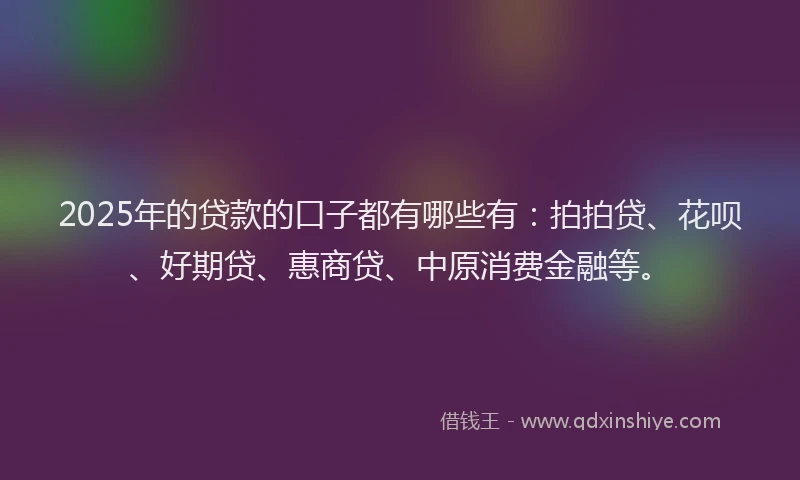 2025年的贷款的口子都有哪些有：拍拍贷、花呗、好期贷、惠商贷、中原消费金融等。