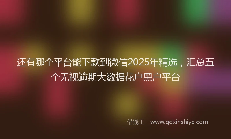还有哪个平台能下款到微信2025年精选，汇总五个无视逾期大数据花户黑户平台