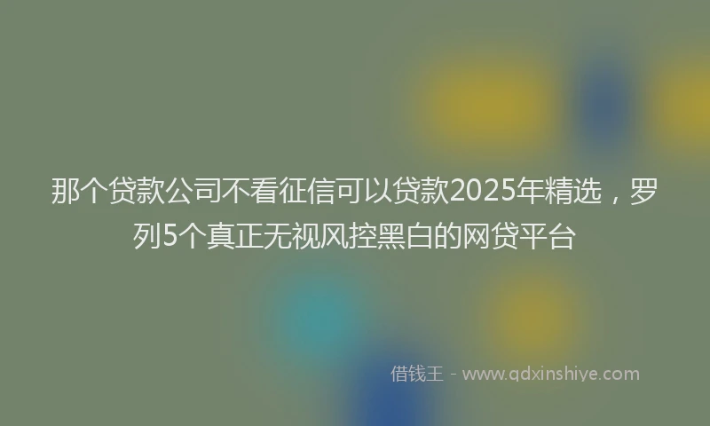 那个贷款公司不看征信可以贷款2025年精选，罗列5个真正无视风控黑白的网贷平台