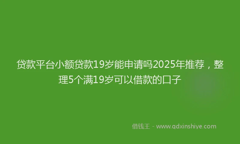 贷款平台小额贷款19岁能申请吗2025年推荐，整理5个满19岁可以借款的口子