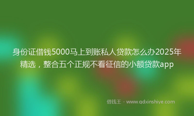 身份证借钱5000马上到账私人贷款怎么办2025年精选，整合五个正规不看征信的小额贷款app