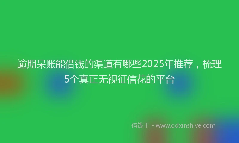 逾期呆账能借钱的渠道有哪些2025年推荐，梳理5个真正无视征信花的平台