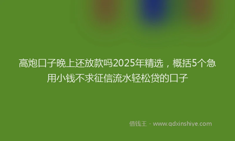 高炮口子晚上还放款吗2025年精选，概括5个急用小钱不求征信流水轻松贷的口子