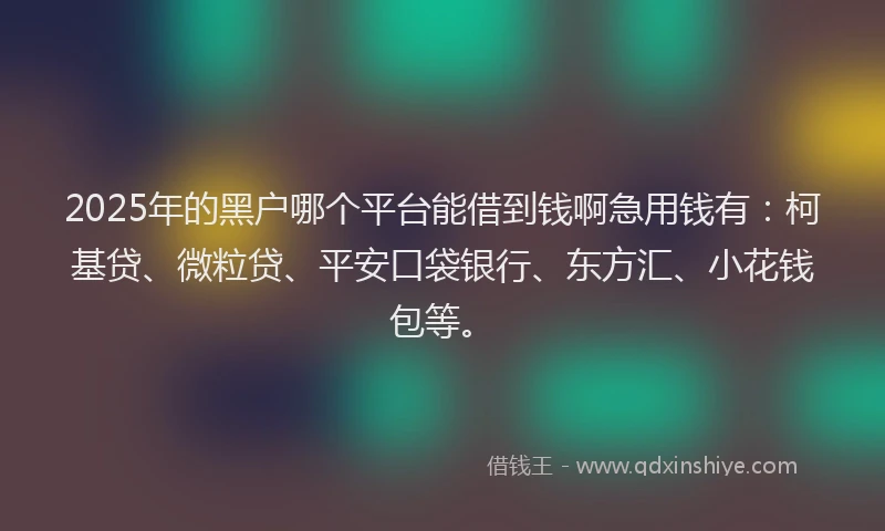2025年的黑户哪个平台能借到钱啊急用钱有：柯基贷、微粒贷、平安口袋银行、东方汇、小花钱包等。