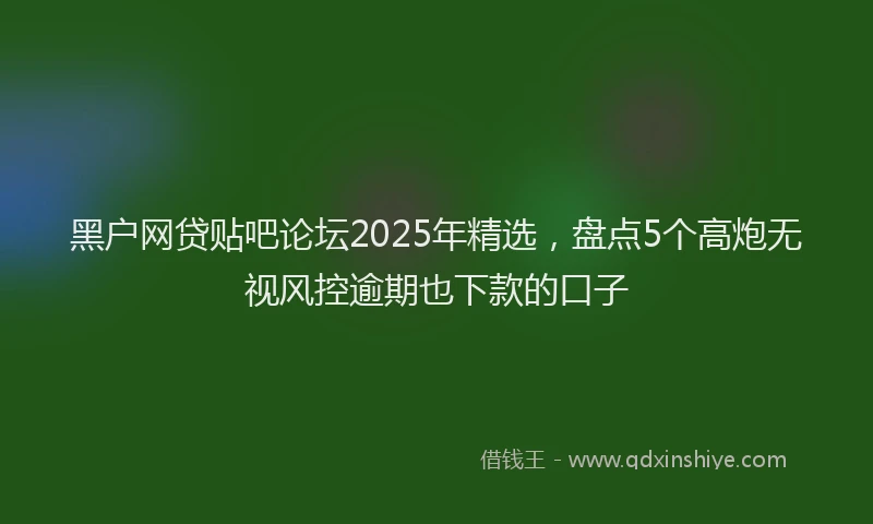 黑户网贷贴吧论坛2025年精选，盘点5个高炮无视风控逾期也下款的口子