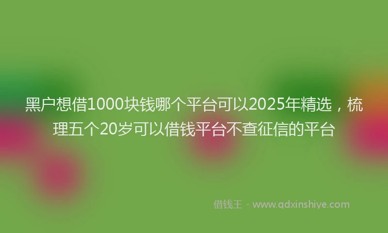 黑户想借1000块钱哪个平台可以2025年精选，梳理五个20岁可以借钱平台不查征信的平台