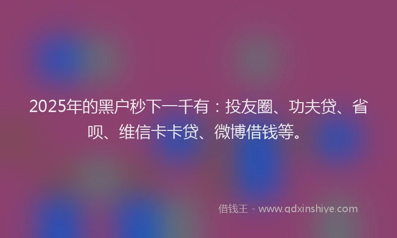 2025年的黑户秒下一千有：投友圈、功夫贷、省呗、维信卡卡贷、微博借钱等。