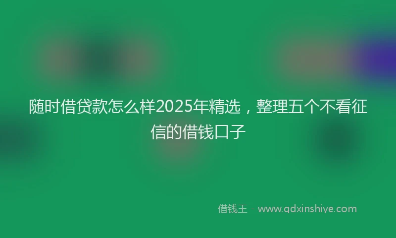 随时借贷款怎么样2025年精选，整理五个不看征信的借钱口子