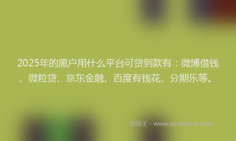 2025年的黑户用什么平台可贷到款有：微博借钱、微粒贷、京东金融、百度有钱花、分期乐等。