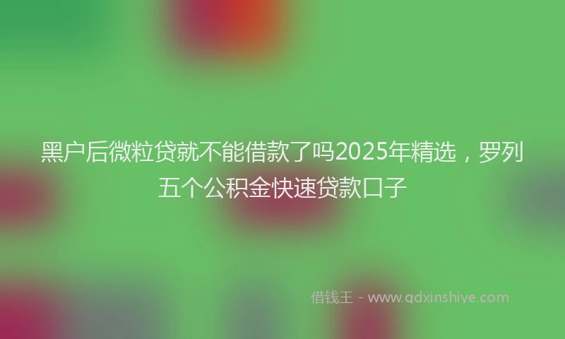 黑户后微粒贷就不能借款了吗2025年精选，罗列五个公积金快速贷款口子