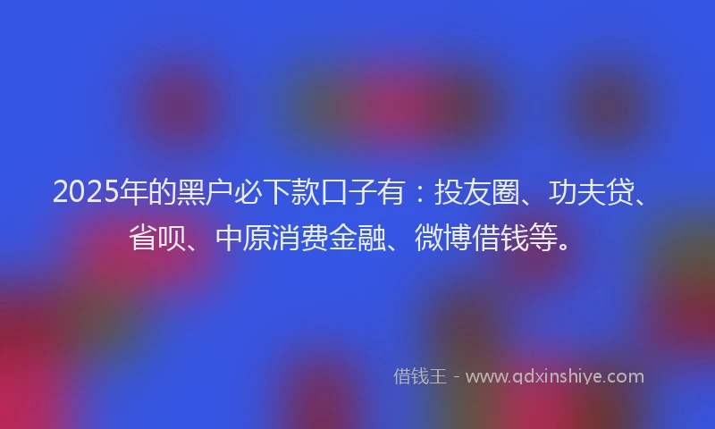 2025年的黑户必下款口子有：投友圈、功夫贷、省呗、中原消费金融、微博借钱等。