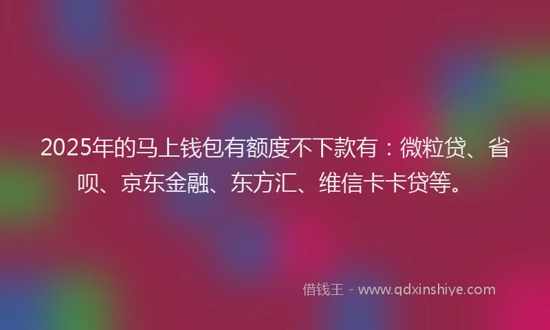 2025年的马上钱包有额度不下款有：微粒贷、省呗、京东金融、东方汇、维信卡卡贷等。
