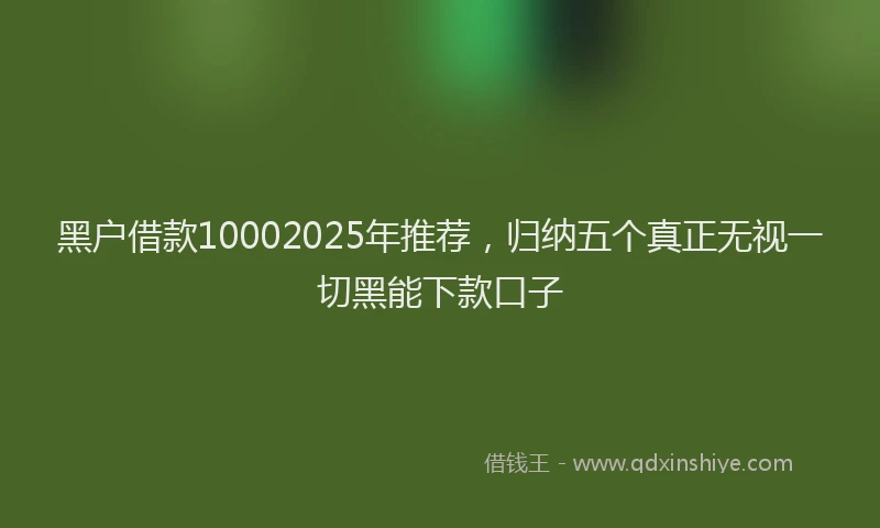 黑户借款10002025年推荐，归纳五个真正无视一切黑能下款口子