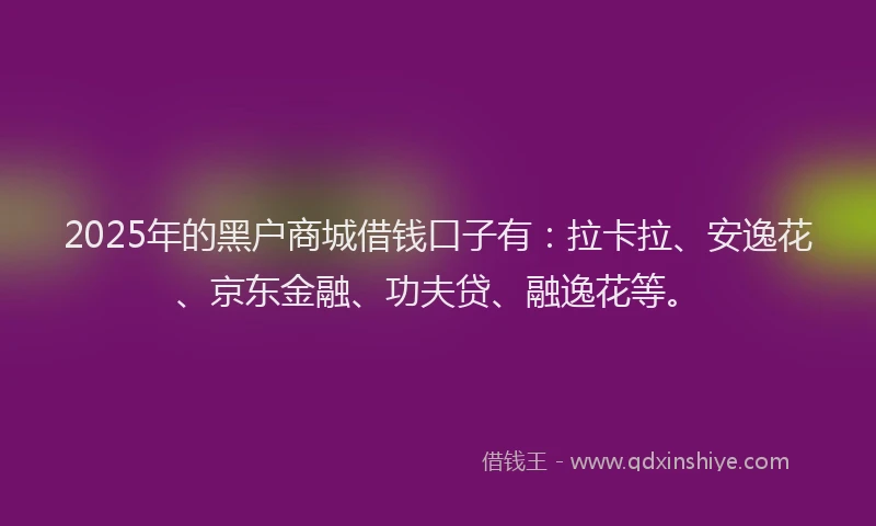 2025年的黑户商城借钱口子有：拉卡拉、安逸花、京东金融、功夫贷、融逸花等。