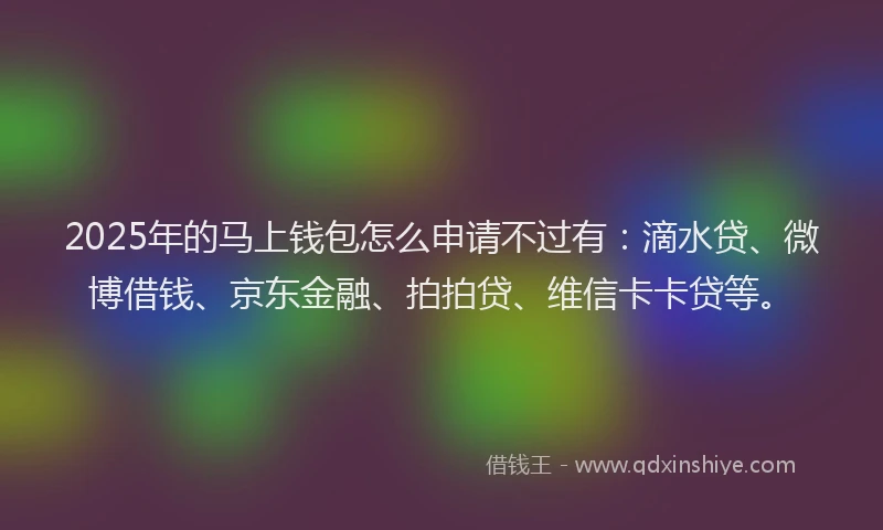2025年的马上钱包怎么申请不过有：滴水贷、微博借钱、京东金融、拍拍贷、维信卡卡贷等。