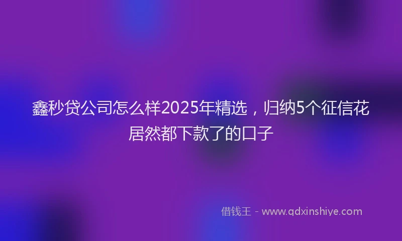 鑫秒贷公司怎么样2025年精选，归纳5个征信花居然都下款了的口子