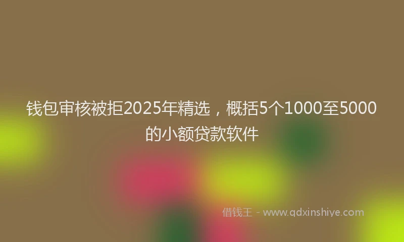 钱包审核被拒2025年精选，概括5个1000至5000的小额贷款软件