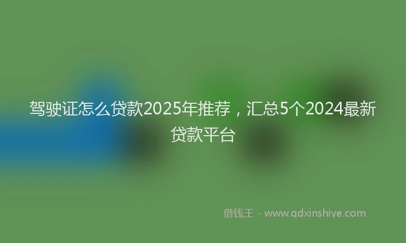 驾驶证怎么贷款2025年推荐，汇总5个2024最新贷款平台