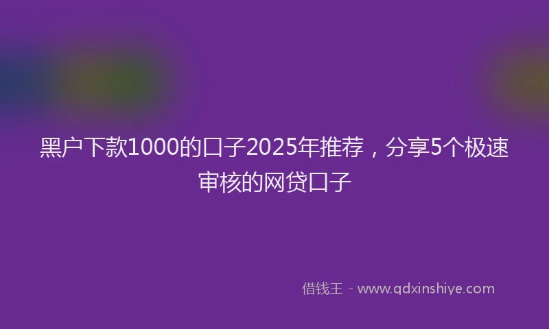 黑户下款1000的口子2025年推荐，分享5个极速审核的网贷口子