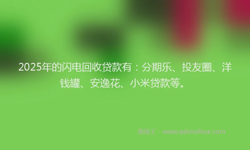 2025年的闪电回收贷款有：分期乐、投友圈、洋钱罐、安逸花、小米贷款等。