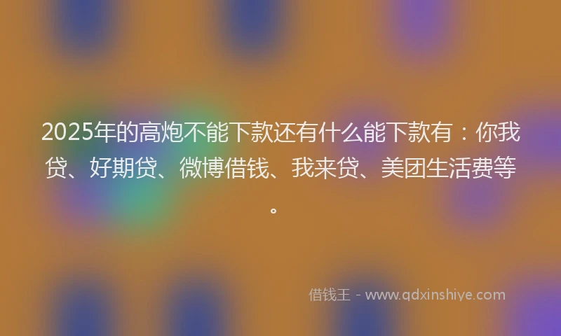 2025年的高炮不能下款还有什么能下款有：你我贷、好期贷、微博借钱、我来贷、美团生活费等。