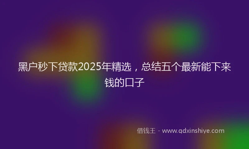 黑户秒下贷款2025年精选，总结五个最新能下来钱的口子