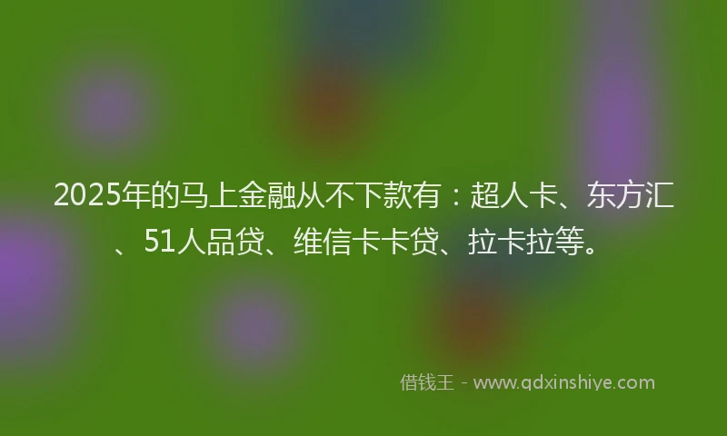 2025年的马上金融从不下款有：超人卡、东方汇、51人品贷、维信卡卡贷、拉卡拉等。