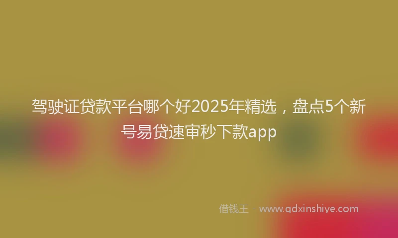 驾驶证贷款平台哪个好2025年精选，盘点5个新号易贷速审秒下款app