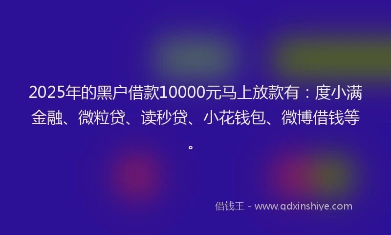 2025年的黑户借款10000元马上放款有：度小满金融、微粒贷、读秒贷、小花钱包、微博借钱等。