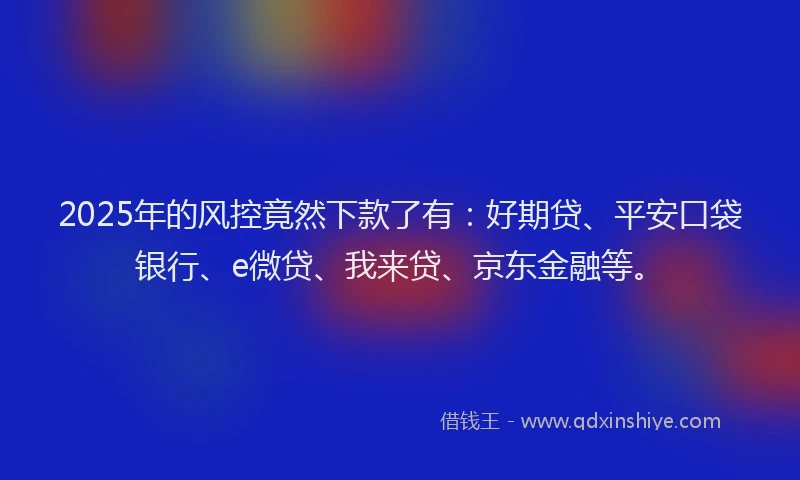 2025年的风控竟然下款了有：好期贷、平安口袋银行、e微贷、我来贷、京东金融等。
