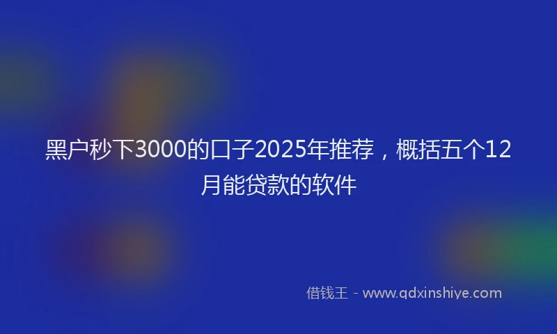黑户秒下3000的口子2025年推荐，概括五个12月能贷款的软件
