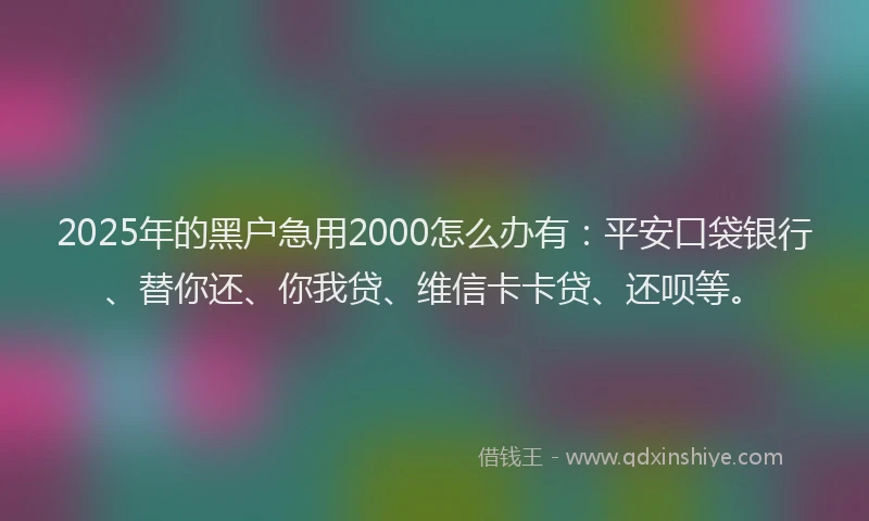 2025年的黑户急用2000怎么办有：平安口袋银行、替你还、你我贷、维信卡卡贷、还呗等。