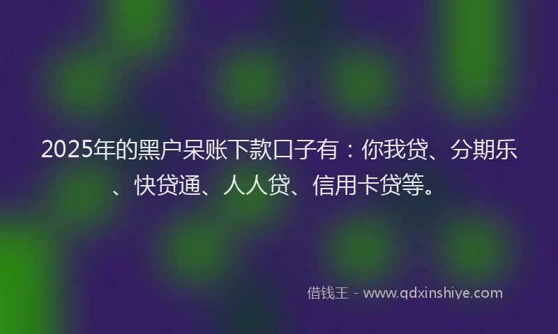 2025年的黑户呆账下款口子有：你我贷、分期乐、快贷通、人人贷、信用卡贷等。