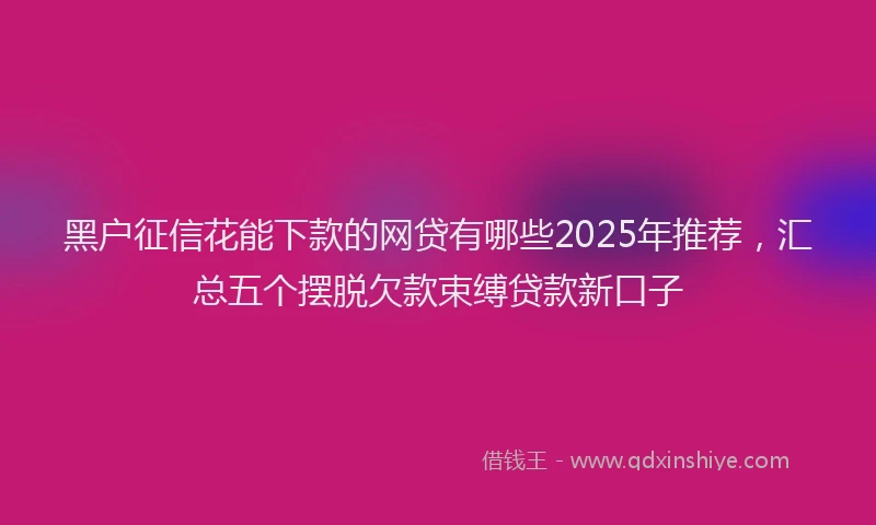 黑户征信花能下款的网贷有哪些2025年推荐，汇总五个摆脱欠款束缚贷款新口子