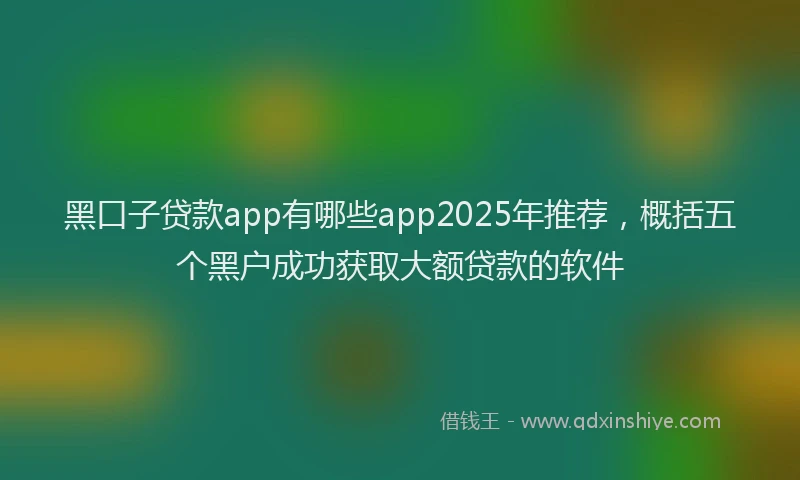 黑口子贷款app有哪些app2025年推荐，概括五个黑户成功获取大额贷款的软件