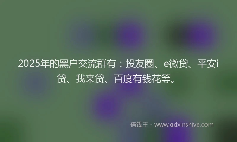 2025年的黑户交流群有：投友圈、e微贷、平安i贷、我来贷、百度有钱花等。