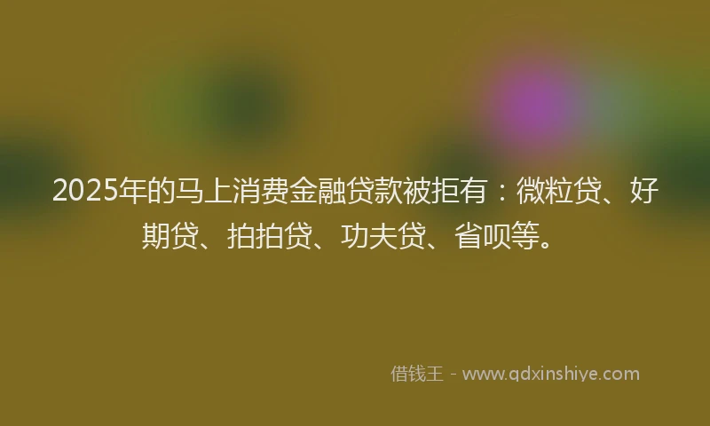 2025年的马上消费金融贷款被拒有：微粒贷、好期贷、拍拍贷、功夫贷、省呗等。