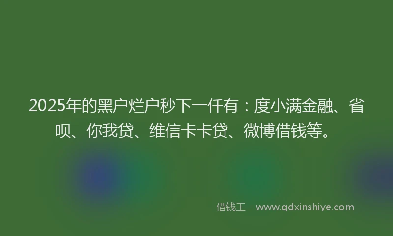 2025年的黑户烂户秒下一仟有：度小满金融、省呗、你我贷、维信卡卡贷、微博借钱等。