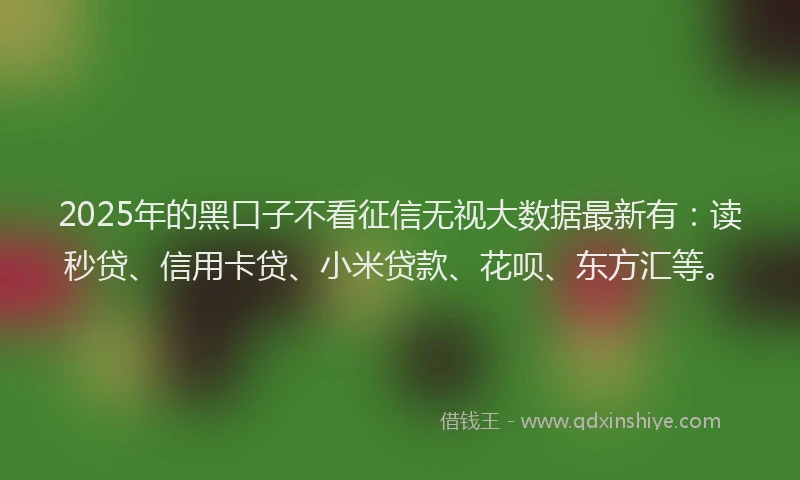 2025年的黑口子不看征信无视大数据最新有：读秒贷、信用卡贷、小米贷款、花呗、东方汇等。