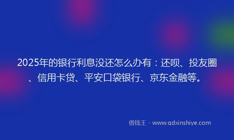 2025年的银行利息没还怎么办有：还呗、投友圈、信用卡贷、平安口袋银行、京东金融等。