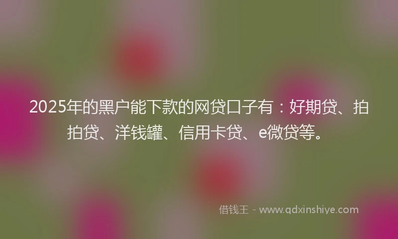 2025年的黑户能下款的网贷口子有：好期贷、拍拍贷、洋钱罐、信用卡贷、e微贷等。